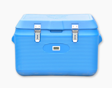 33L���籣����